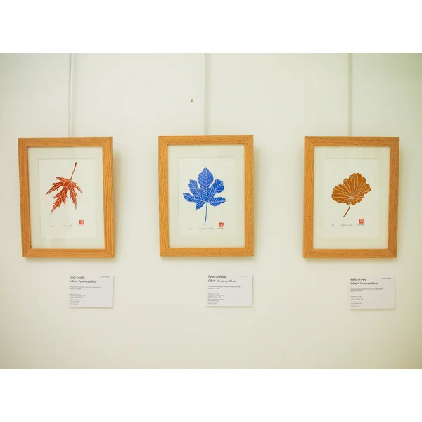 "REFLETS DE LOTUS" - Gravure sur papier washi