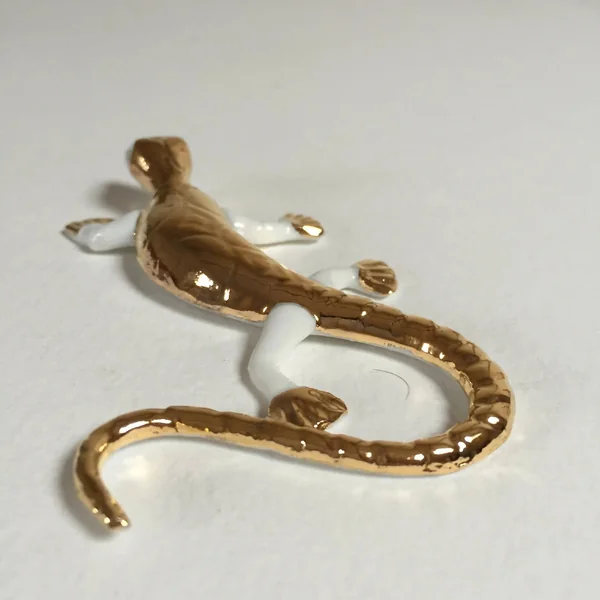 Salamandre