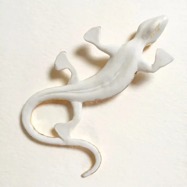 Salamandre