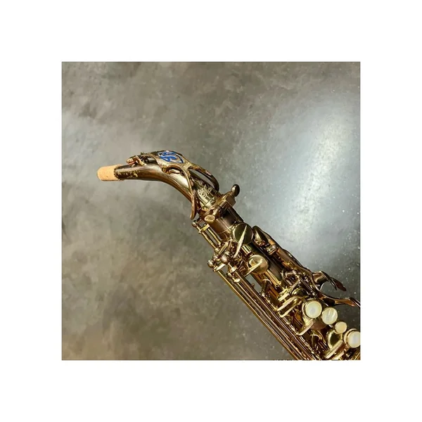Saxophone Alto Super Action 80 n° 356XXX Verni Gravé - Selmer