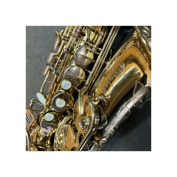 Saxophone Alto Super Action 80 n° 356XXX Verni Gravé - Selmer