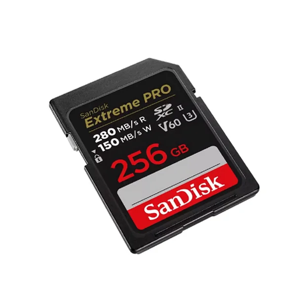 SDXC Extreme Pro 256Go