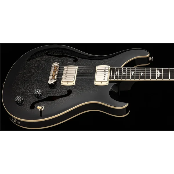 SE Hollowbody Standard - dog hair smokeburst