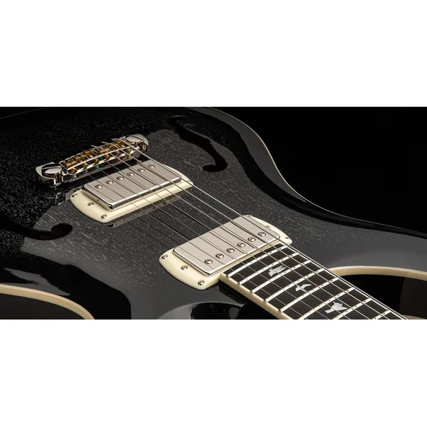 SE Hollowbody Standard - dog hair smokeburst
