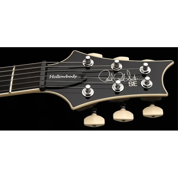 SE Hollowbody Standard - dog hair smokeburst