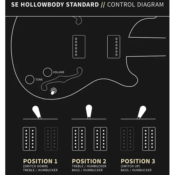 SE Hollowbody Standard - dog hair smokeburst
