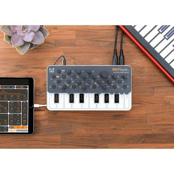 Skulpt Synth SE