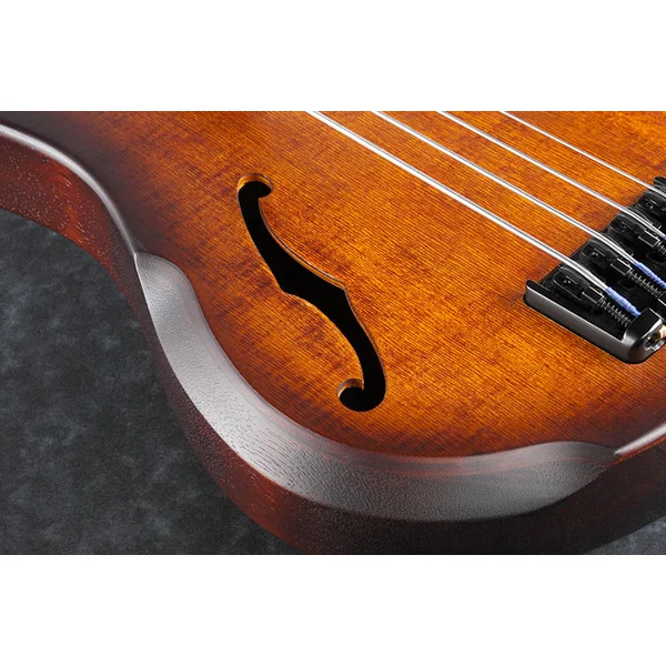 SRH500F NNF Fretless Workshop - natural browned burst flat