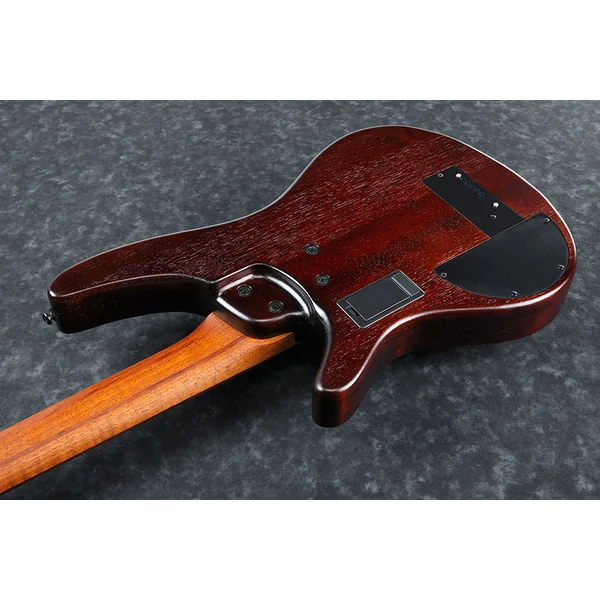 SRH505F NNF Fretless Workshop - dragon eye burst flat