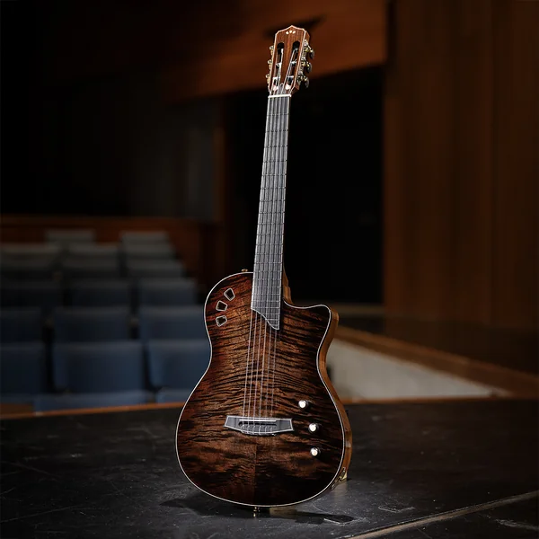 Stage Artist - habano burst