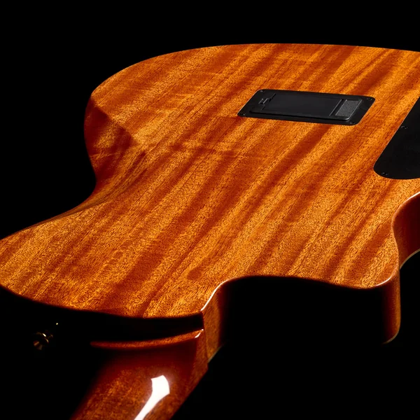 Stage Artist - habano burst