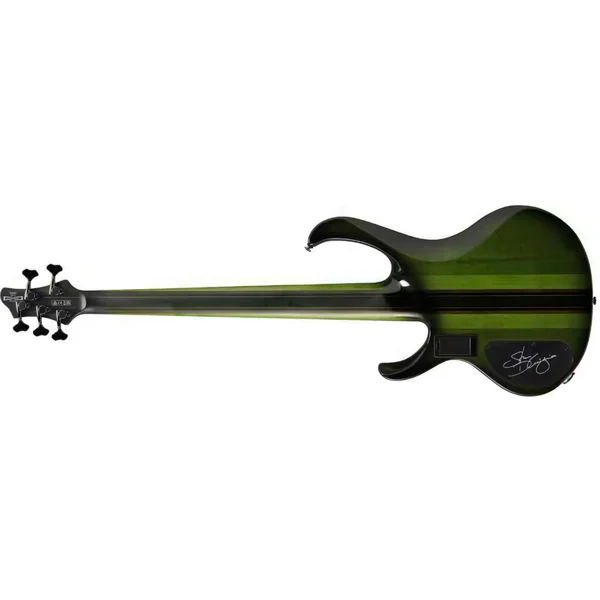Steve Di Giorgio SDGB1 DMB 5-String (Fretless) - dark moss burst
