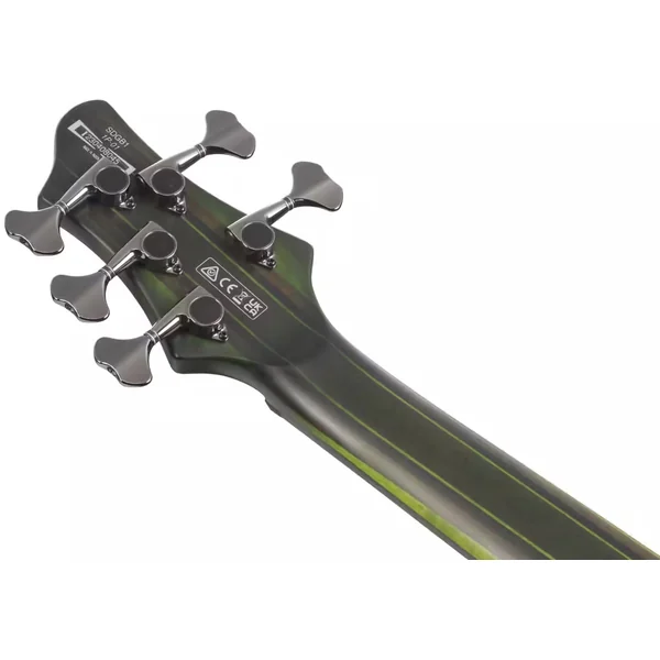 Steve Di Giorgio SDGB1 DMB 5-String (Fretless) - dark moss burst