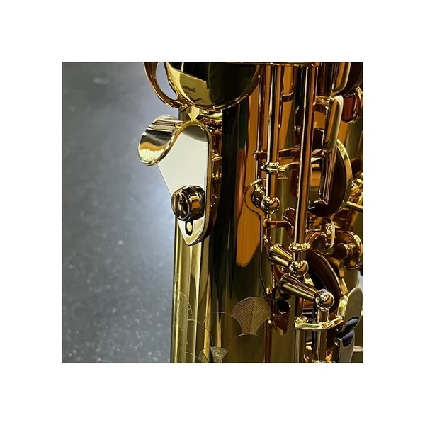 Support de Pouce Ergonomique pour saxophone - AdV