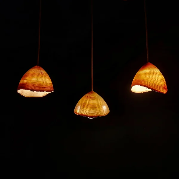 Suspension en frêne