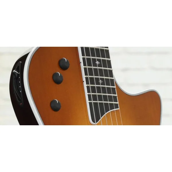 T5z Standard - honey sunburst