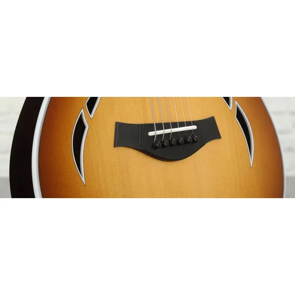 T5z Standard - honey sunburst