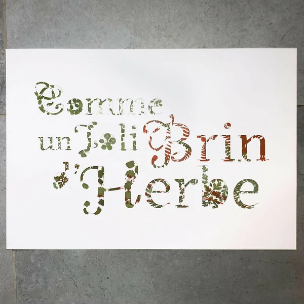 Tableau - Comme un joli brin d'herbe - A3 - plantes séchés