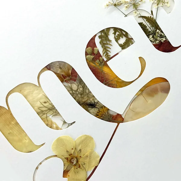 Tableau- Merci - A4 - plantes séchés