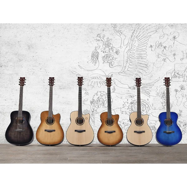 TransAcoustic TAS1 C - natural