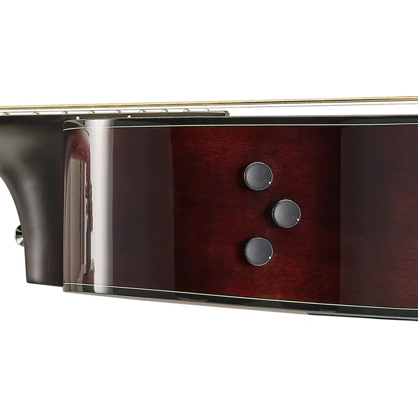 TransAcoustic TAS1E - natural