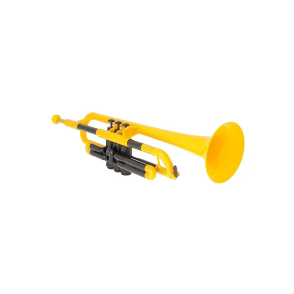 TROMPETTE JAUNE