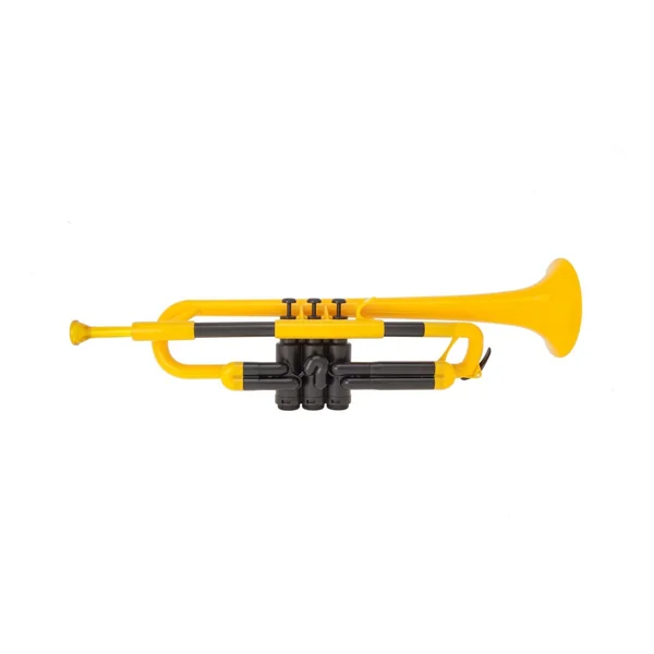 TROMPETTE JAUNE