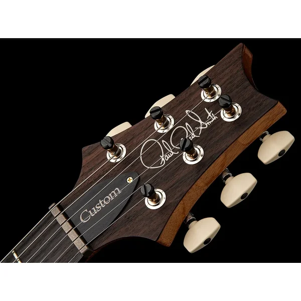 USA Custom 24-08 (TCI Pickups) - faded whale blue