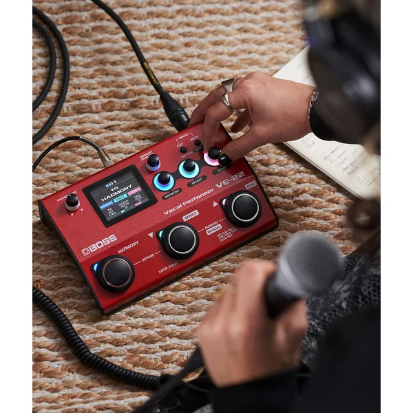 VE-22 Vocal Performer