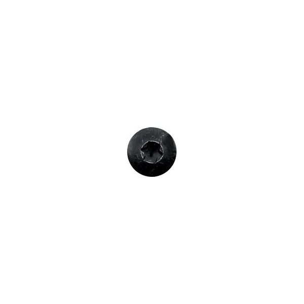 Vis bois penture tête ronde large torx acier zingué noir 7X40