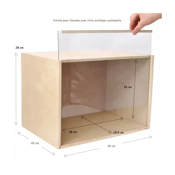 Vitrine pour diorama en kit