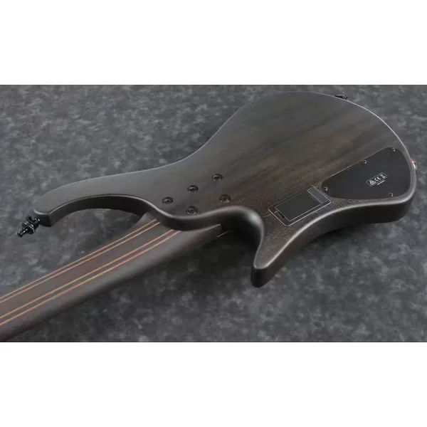 Workshop EHB1505MS PLF 5-String - black ice flat